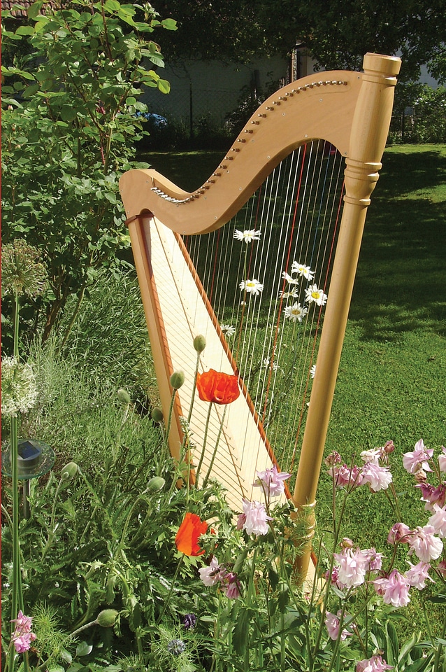 Musical instrument instrument stringed instrument