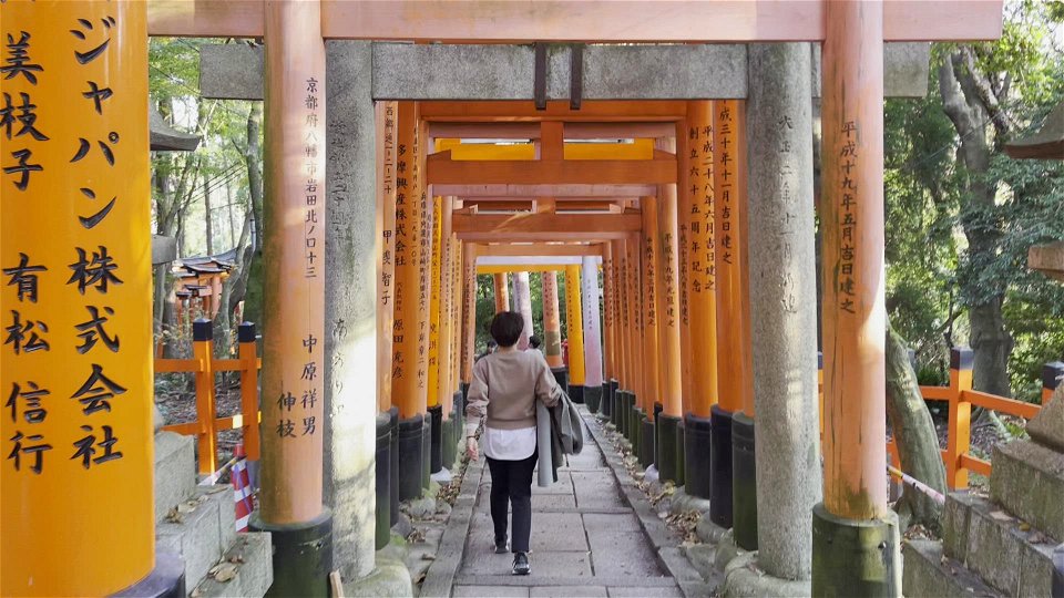 伏見稲荷/Fushimi Inari Shrine photo