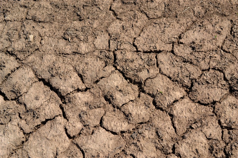 Free textures with cracks