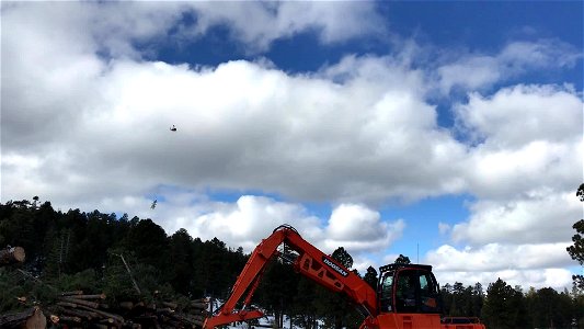 VIDEO: FWPP Helicopter Thinning Operations