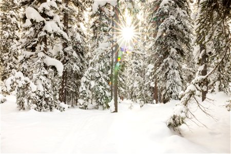 Views along the Divide Ski Trail photo