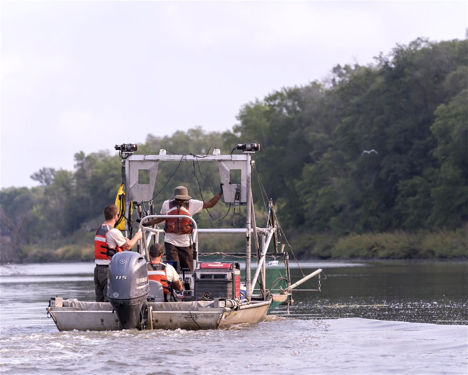 Invasive Carp Research on the James River in South Dakota. Photo: Sam Stukel (USFWS)