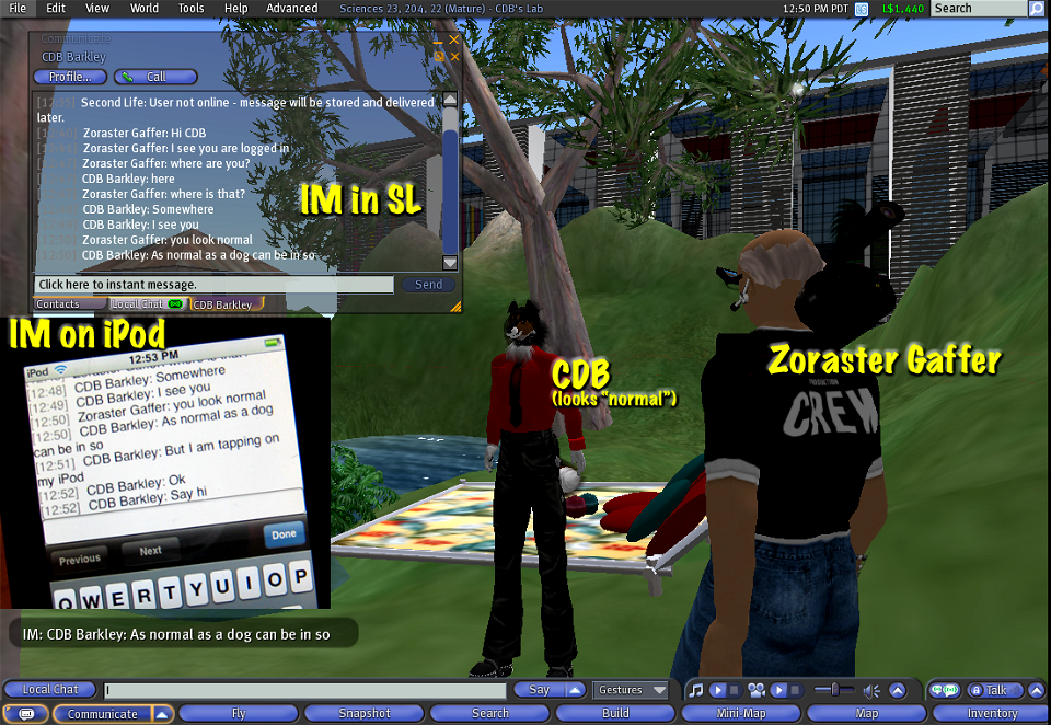 Talking To Myself From an iPod to an Avatar in a Virtual World