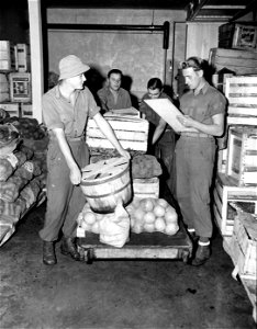SC 184881 - German war prisoners at Camp Wallace, Texas, assigned to work in the warehouse are shown as they make up an order of fruits and vegetables. 1943.