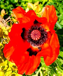 IMG_20220527_120526