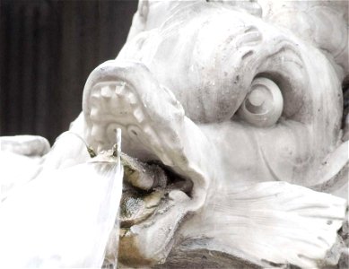 Public Domain Dedication CC0 t5203