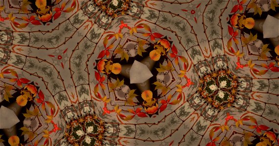 Kaleidoscope211210152720