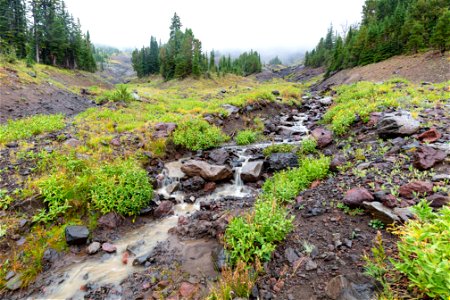 Headwaters of Lamar River photo