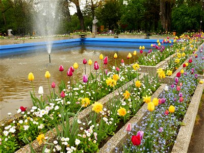 Herestrau Park in spring (118)