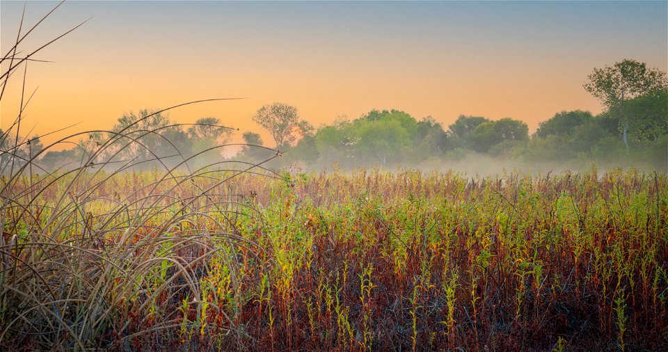 Cosumnes River Preserve photo