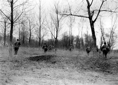 SC 270635 - Rhine River Crossing: Spread out for protection against enemy fire, Seventh Army infantrymen move through woods to assault boats on the river edge for the Rhine crossing.