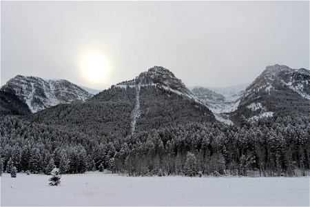 After the snowstorm photo