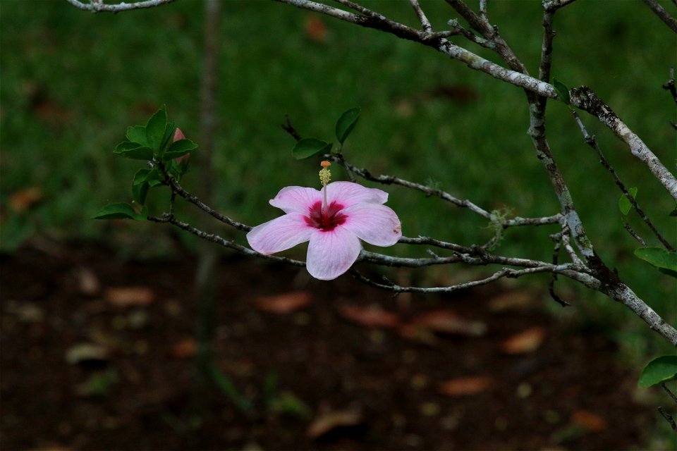 ZZIMG_8391