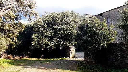Couvent de l'Annunziata, Morsiglia, Cap Corse