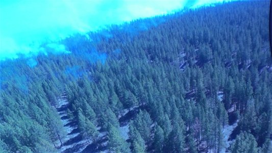 Crew Member Surveys Smokey Forest from a Helicopter