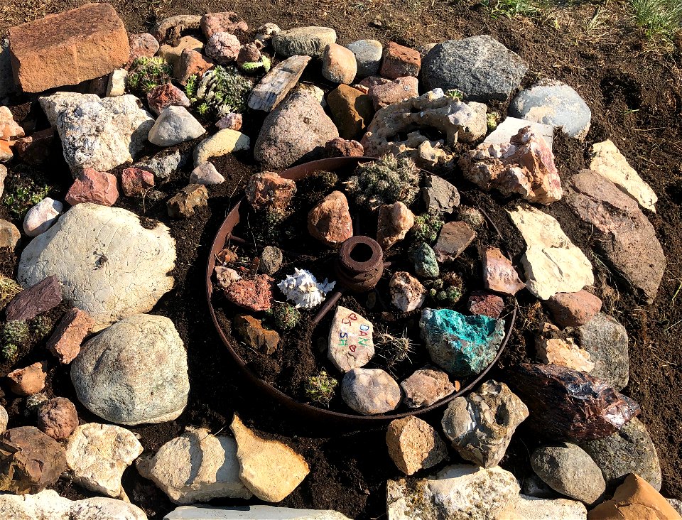 2021/365/191 Rock and Cactus Garden