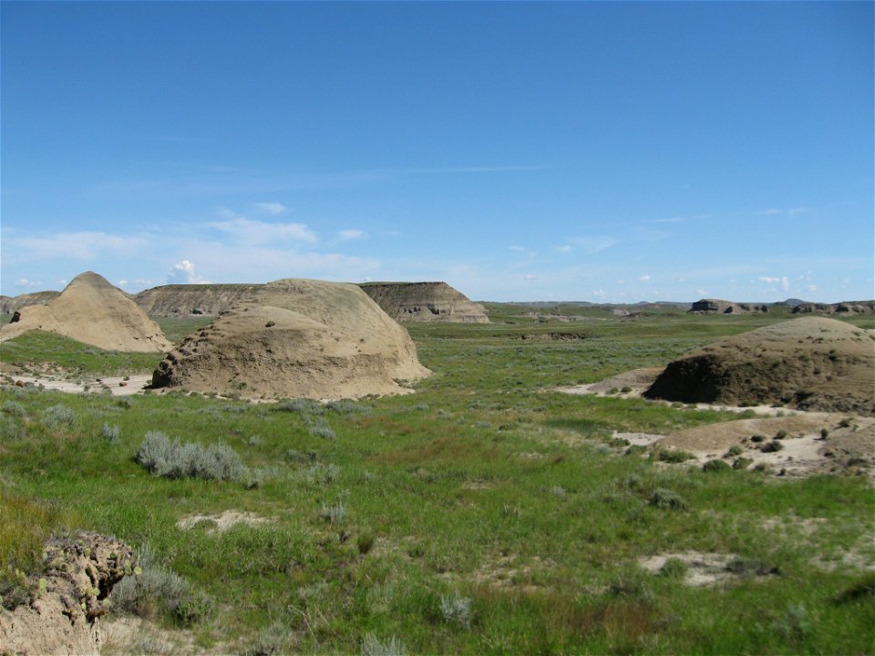 Sand Arroyo