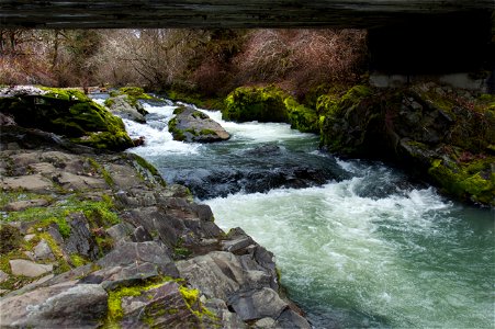 Murphy Creek, Oregon photo