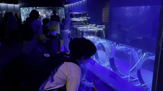 京都水族館 / Kyoto Aquarium
