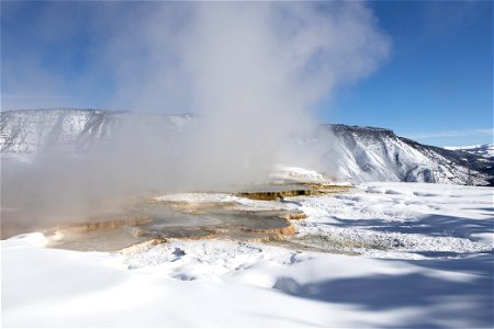 Steamy, winter morning at the Mammoth Hot Springs Terraces photo