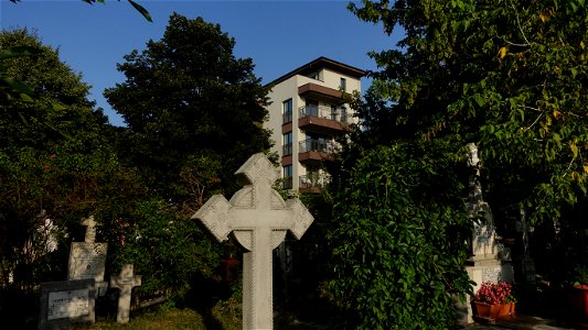 SfVineri_cemetery2021_0728_065525