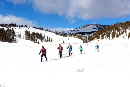 Skiers on the Glen Creen Trail photo