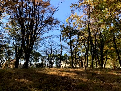 Takiyama Park, Higashikurume-shi in November