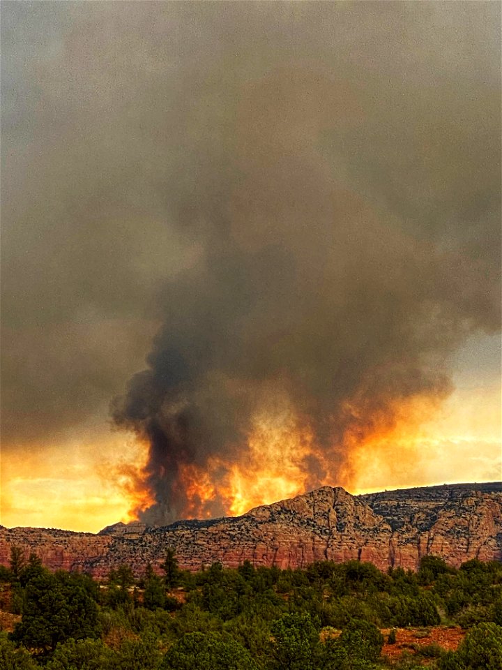 Committee Fire 2022