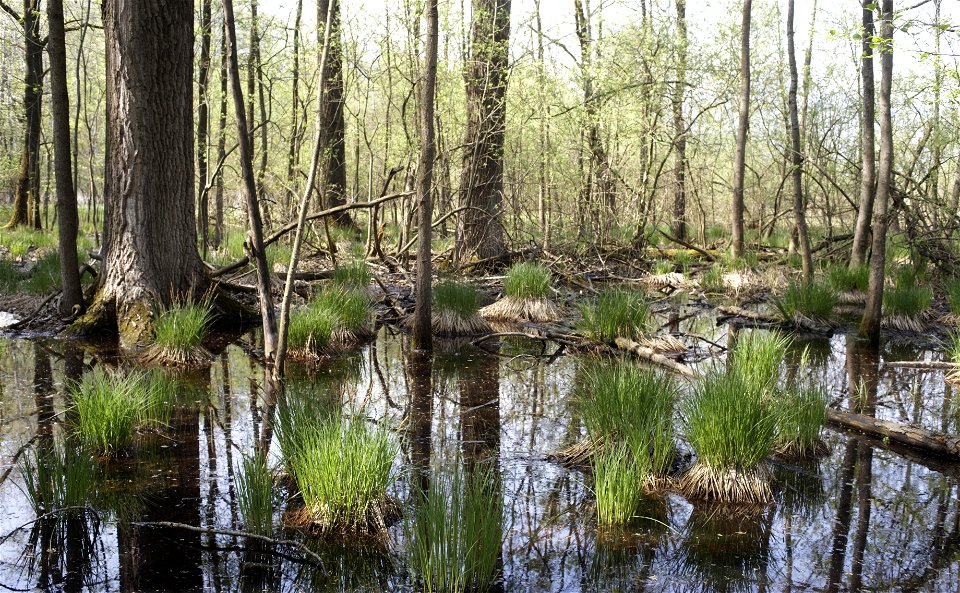 Flooded photo