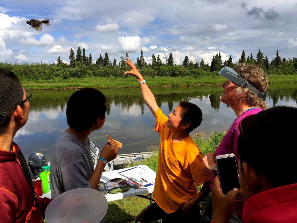 Kenny releasing a banded bird