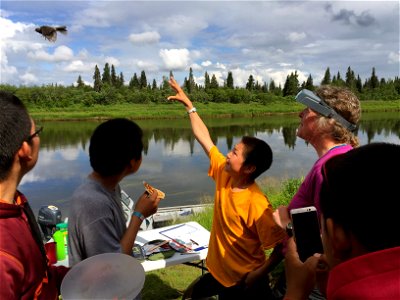 Kenny releasing a banded bird