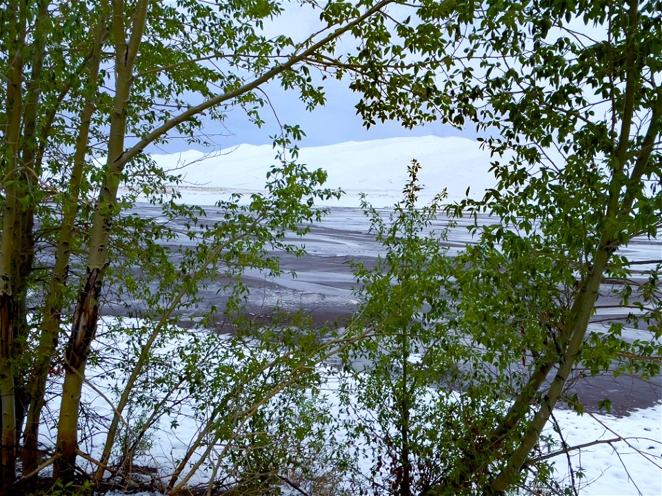 Snow on the Dunes and Medano Creek