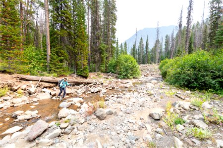 Shoshone National Forest, Sunlight Creek Trail: crossing Sunlight Creek