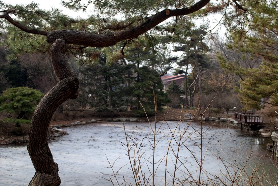 Hantaek Botanical Garden
