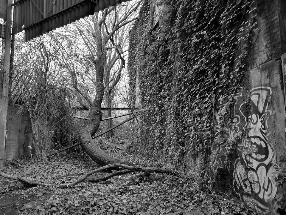 Urbex Tuberie de Nimy