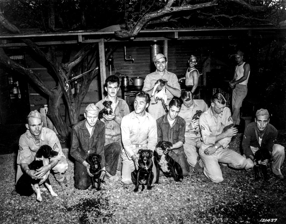 SC 151437 - Soldiers of a Batt. in Hawaii, shown with their Managerie of pets.