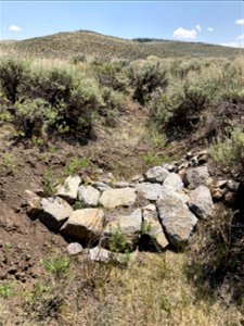 Sagebrush and water