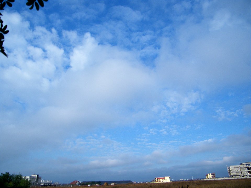 nori2010_0930_085446