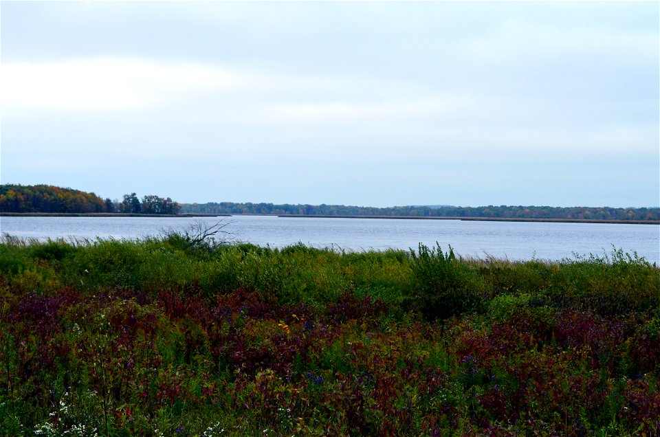 Collins Marsh Wildlife Management Area