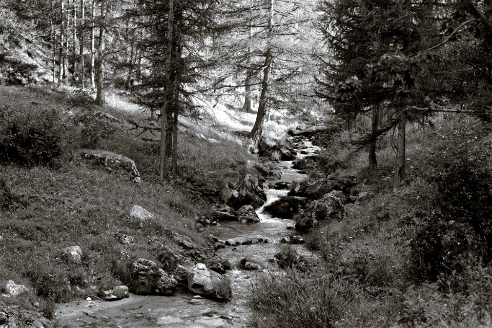 summer walk