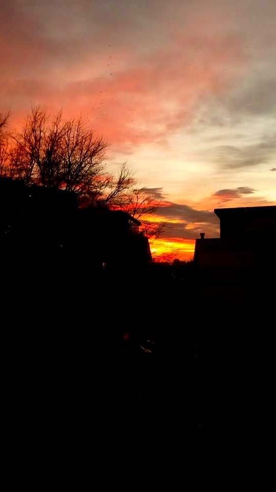 sunsets_sunrises-2020-07-24_115526_5