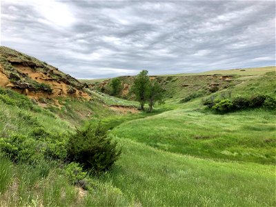 Cabin Coulee photo