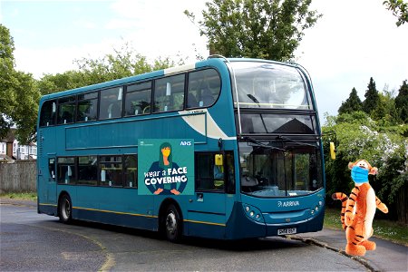 GN58BSY The Hedges Penenden Heath. Wear a face covering if travelling on a bus!! 😷🐅