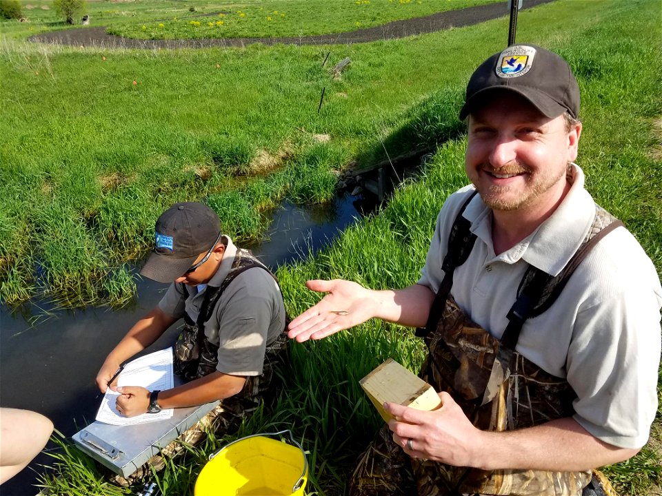 Topeka Shiner Surveys