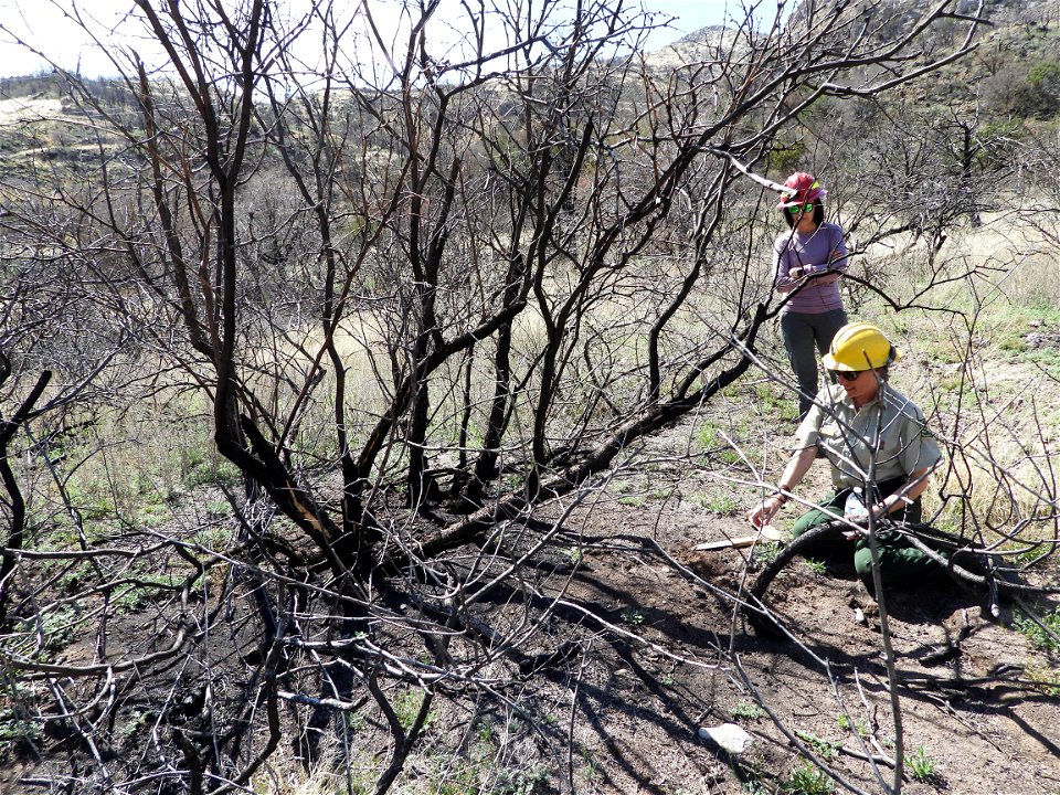 Fossil Creek Soil Monitoring photo