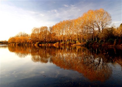 Autumn reflections. photo