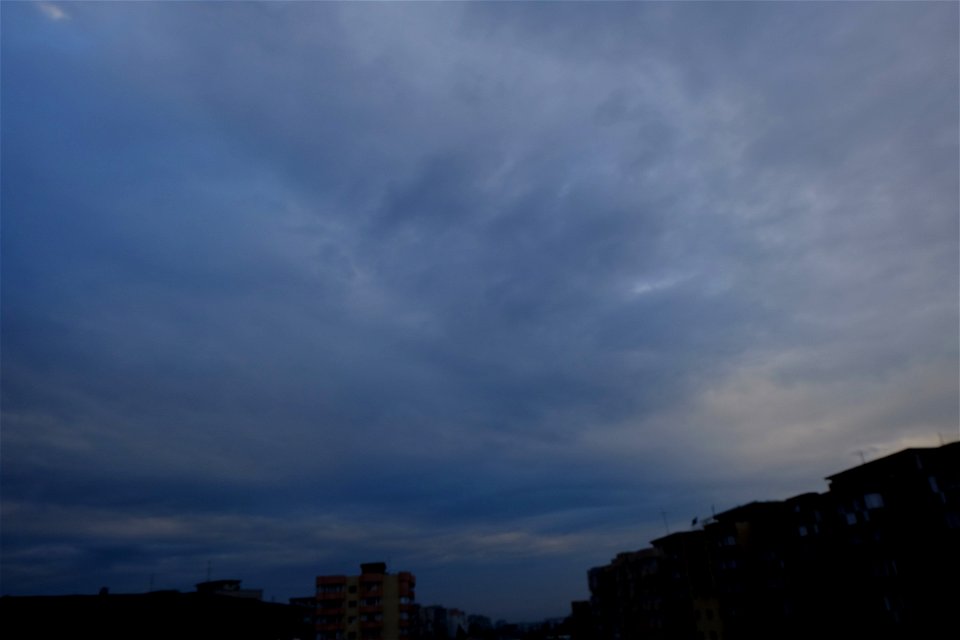 nori-CaleaVitan2015_0503_065406