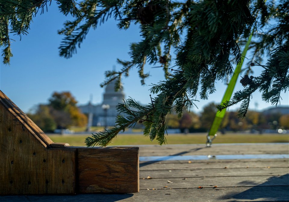 CapitolXmasTree-WashingtonDC-006