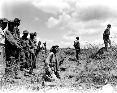 SC 364516 - Members of the mortar squad of K Co., 3rd Bn., 15th Regt., Philippine Army, watching a mortar shell fall on the enemy lines. photo