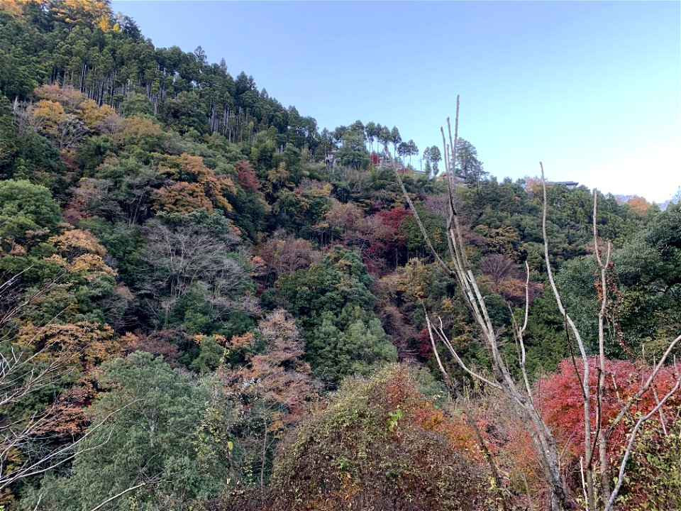 Hikawa in Okutama-machi